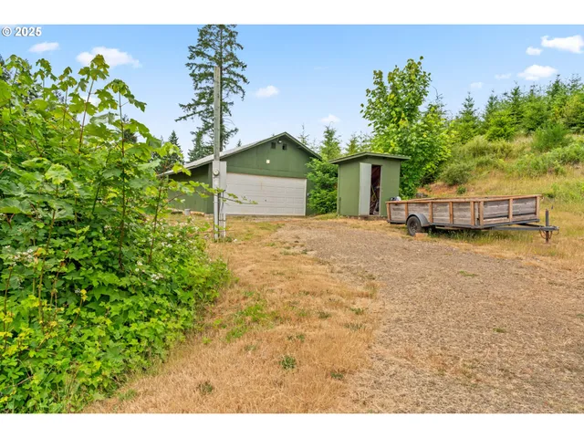 a backyard of a house with a garden and tree