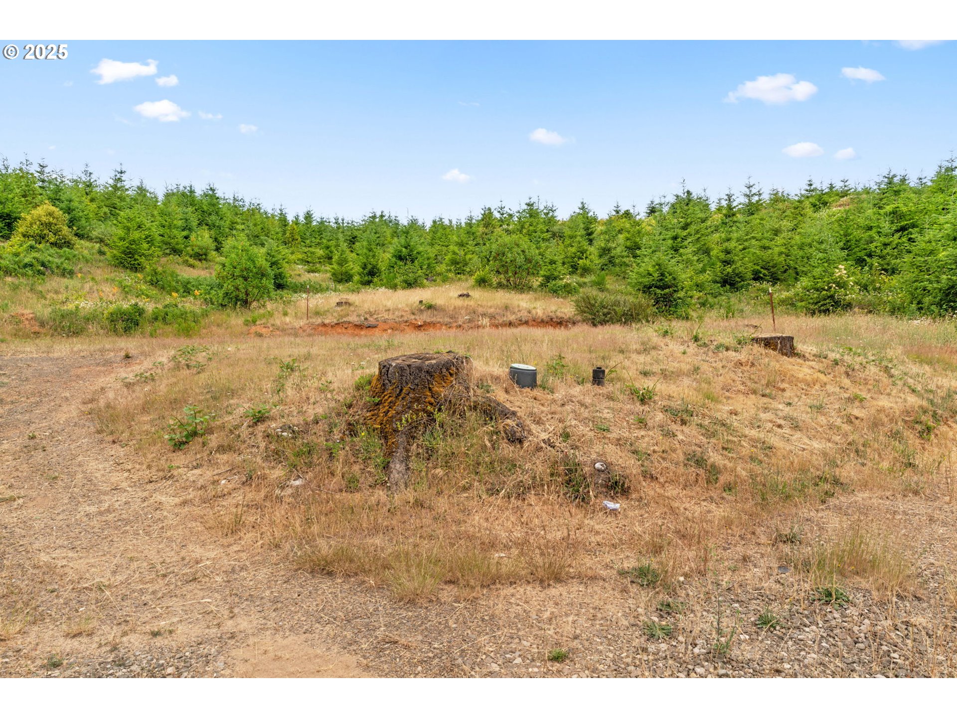90245 Sheffler Road Elmira, OR 97437 - Photo 22 of 33 a view of a yard