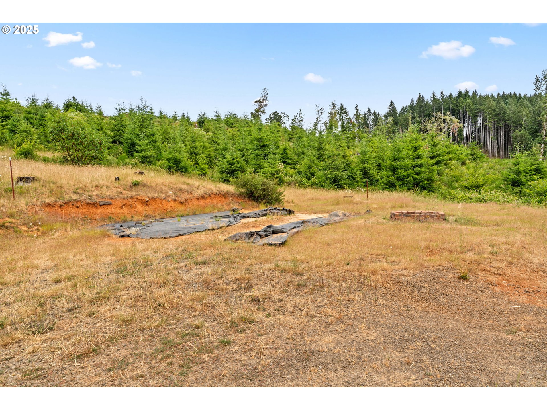 90245 Sheffler Road Elmira, OR 97437 - Photo 23 of 33 a view of a yard