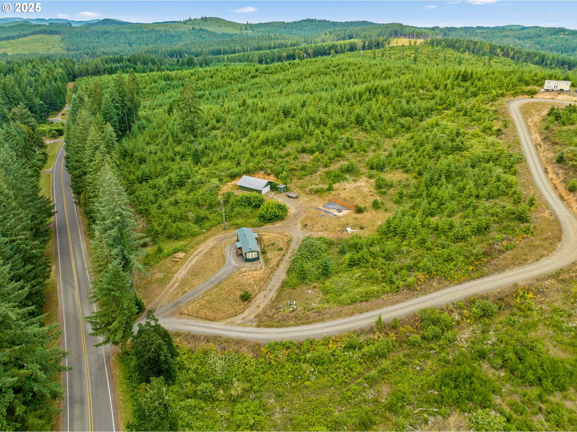 90245 Sheffler Road Elmira, OR 97437 - Photo 26 of 33 a view of a forest with a sink and yard