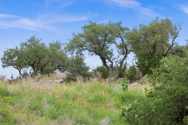 $212,000 | 292 Scenic Hls Court, Blanco, TX 78606