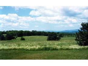 310 Windywood Road Barre Town, VT 05641 - Photo 8 of 8 Gallery Image 8