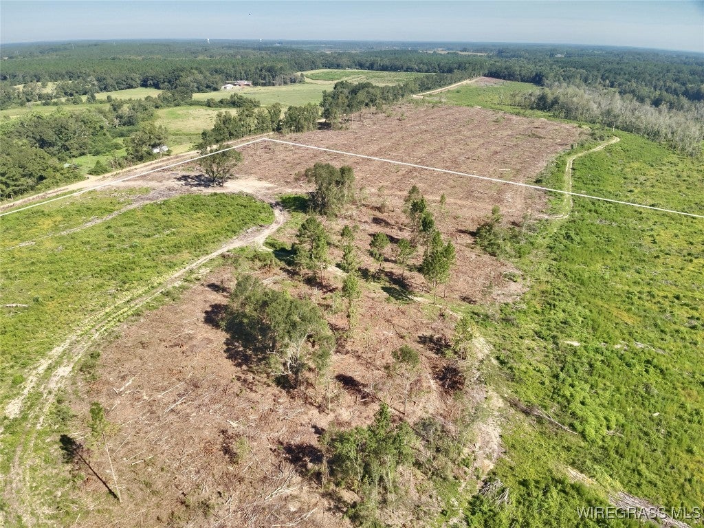 65 Tindil Creek Road Slocomb, AL 36375 - Photo 10 of 23 Gallery Image 10