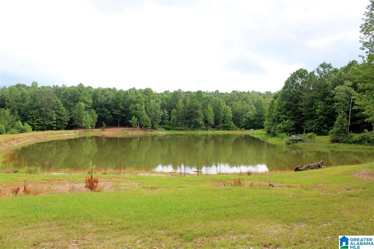 801 County Road 928 Delta, AL 36258 - Photo 25 of 34
