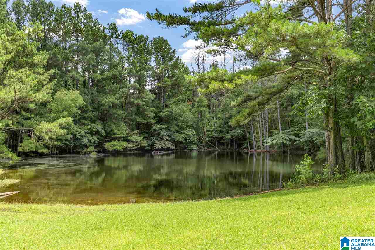 539 Faulkner Road Oneonta, AL 35121 - Photo 24 of 27