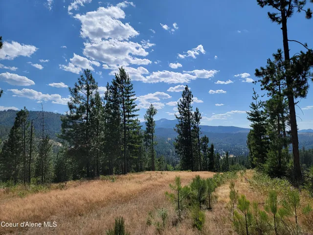 $199,000 | Lot A Lot A Blue Star Lane, Pinehurst, ID 83850