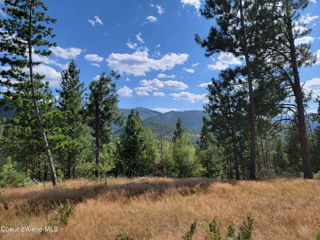 $199,000 | Lot A Lot A Blue Star Lane, Pinehurst, ID 83850