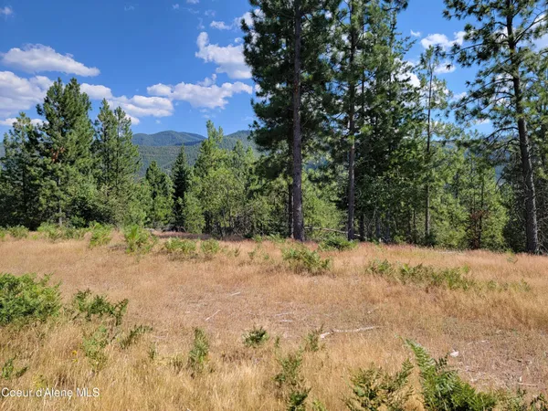 $199,000 | Lot A Lot A Blue Star Lane, Pinehurst, ID 83850