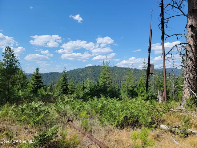 $199,000 | Lot A Lot A Blue Star Lane, Pinehurst, ID 83850