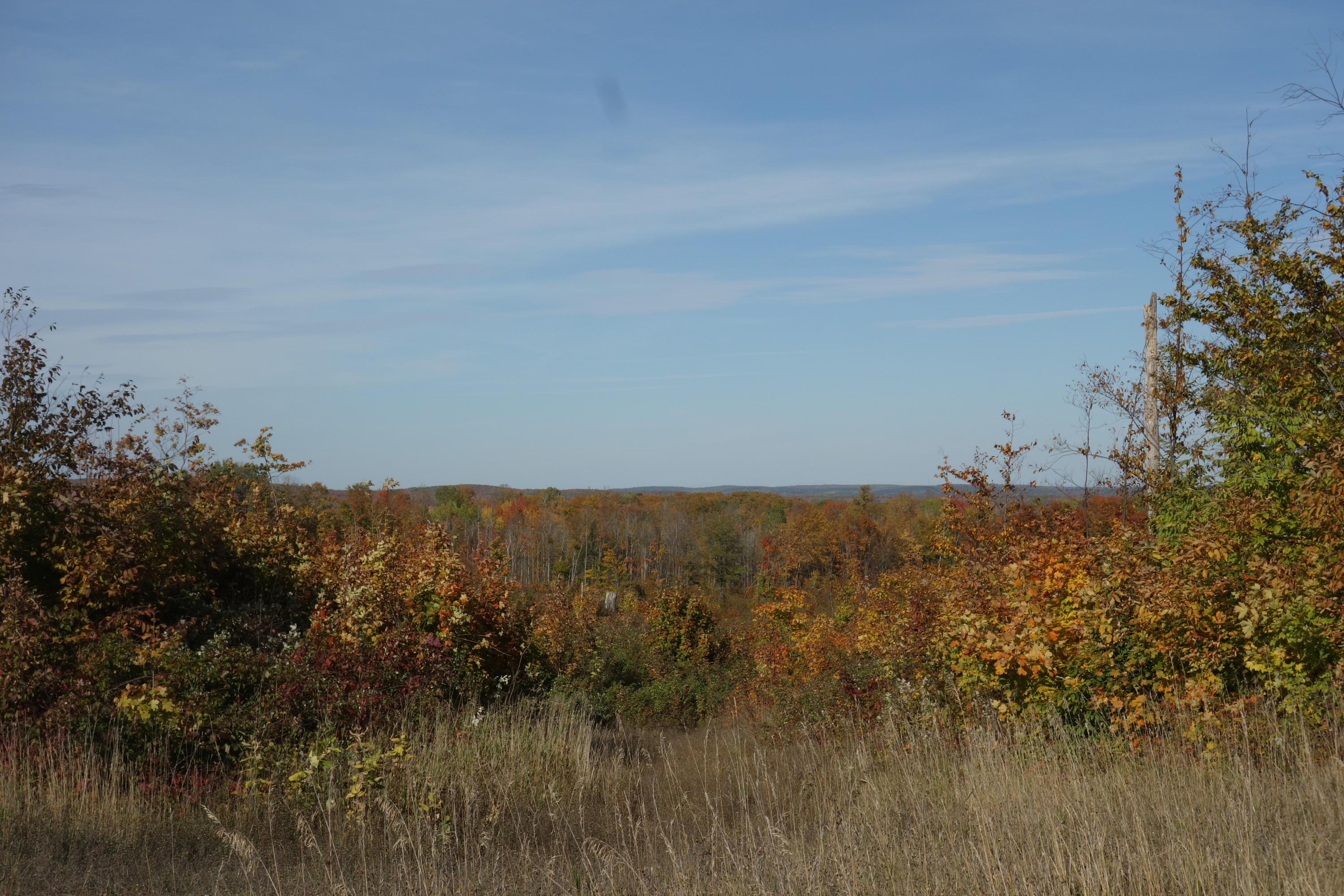 500 Dover Road Gaylord, MI 49735 - Photo 19 of 21 Gallery Image 19