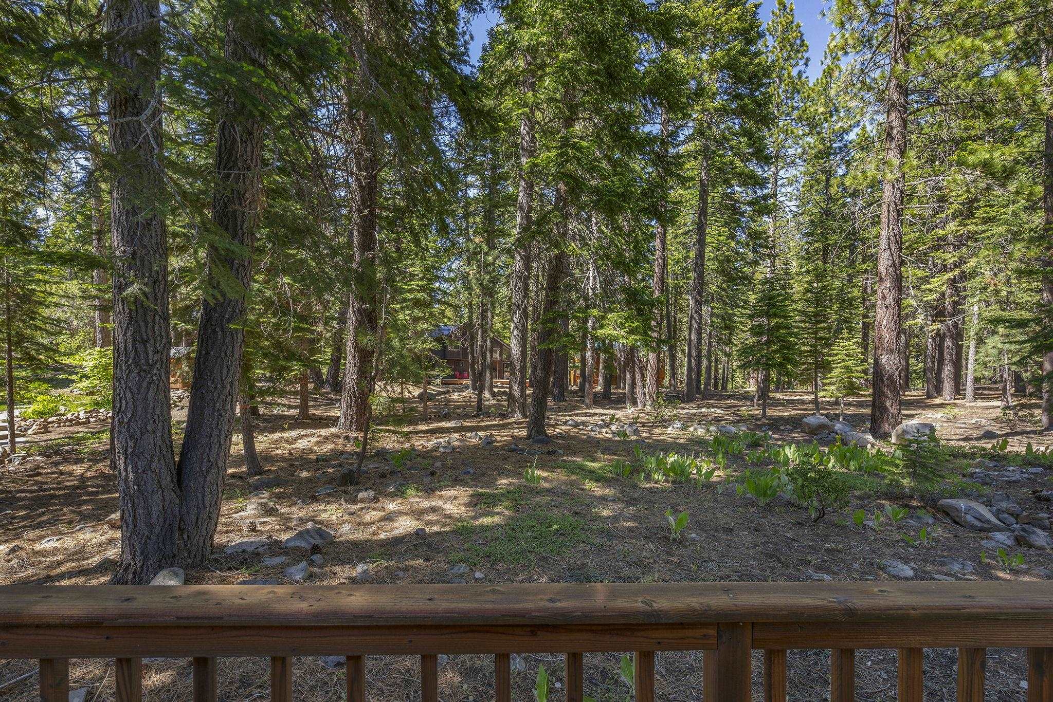 12331 Bennett Flat Road Truckee, CA 96161 - Photo 25 of 28