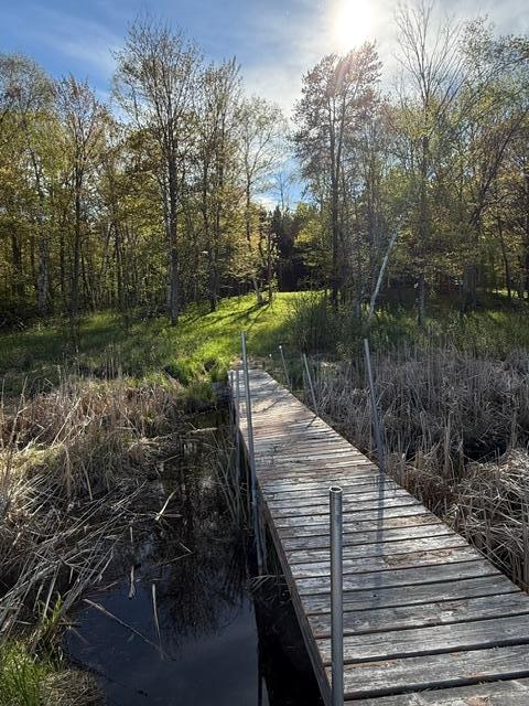 3 County Road 3 Merrifield, MN 56465 - Photo 6 of 36