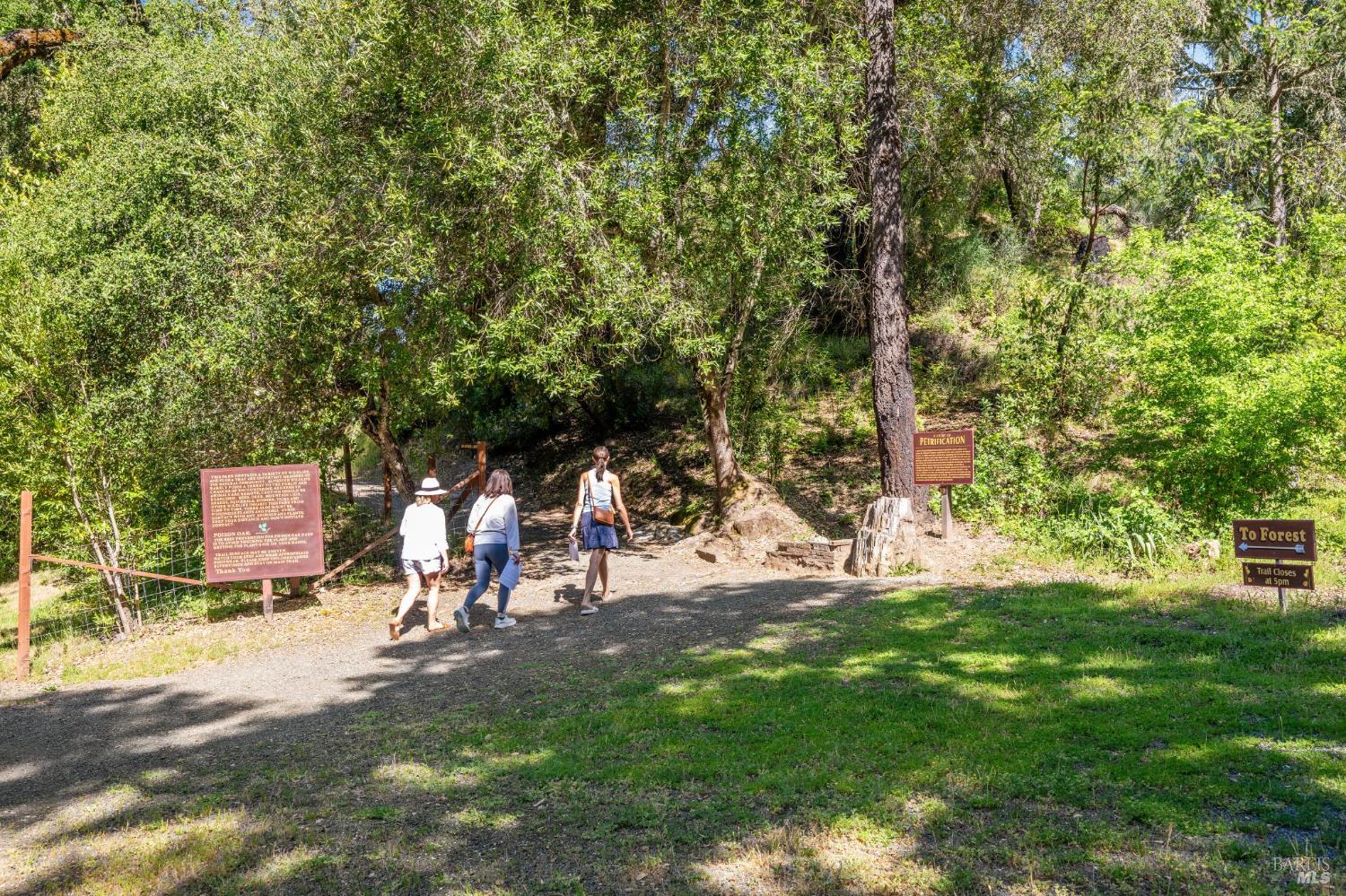 4100 Petrified Forest Road Calistoga, CA 94515 - Photo 55 of 71