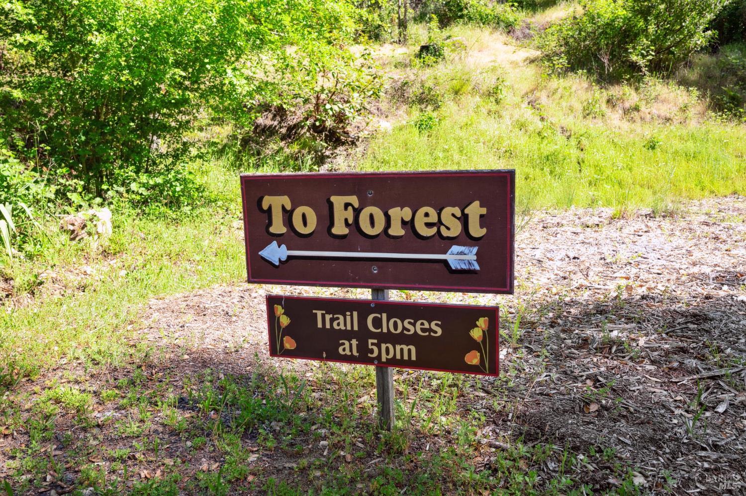 4100 Petrified Forest Road Calistoga, CA 94515 - Photo 59 of 71