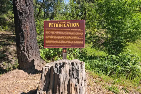 $9,998,000 | 4100 Petrified Forest Road, Calistoga, CA 94515