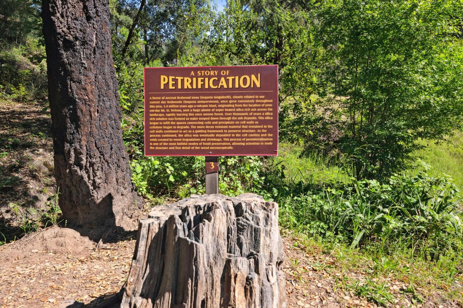 4100 Petrified Forest Road Calistoga, CA 94515 - Photo 60 of 71
