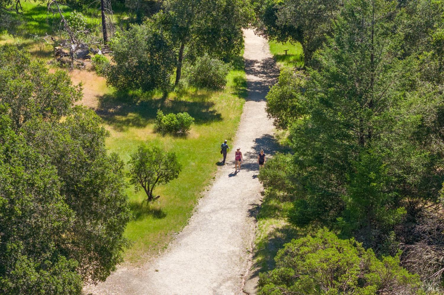 4100 Petrified Forest Road Calistoga, CA 94515 - Photo 69 of 71