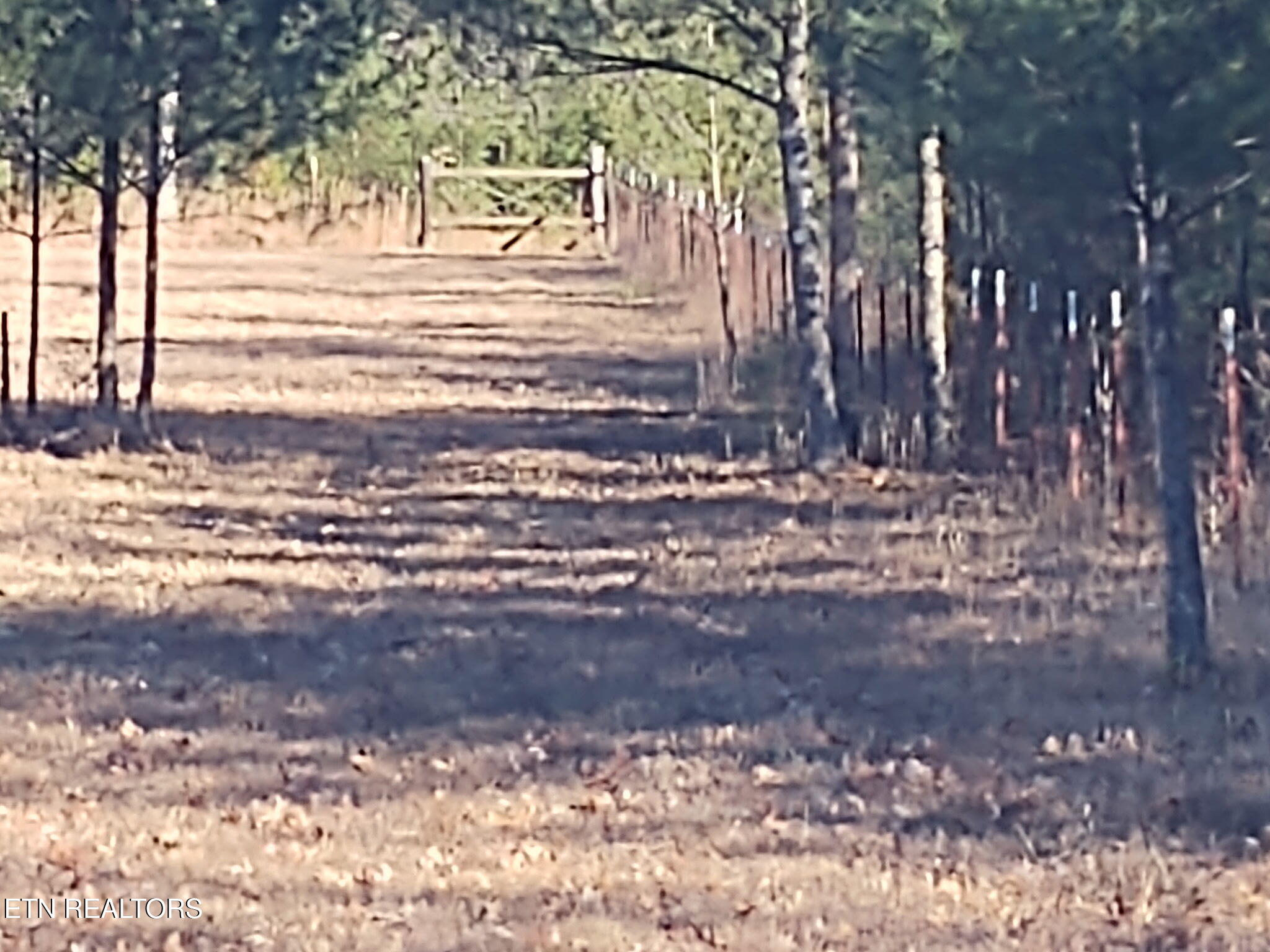 1241 Twin Bridge Road Deer Lodge, TN 37726 - Photo 18 of 35 MSBP5757