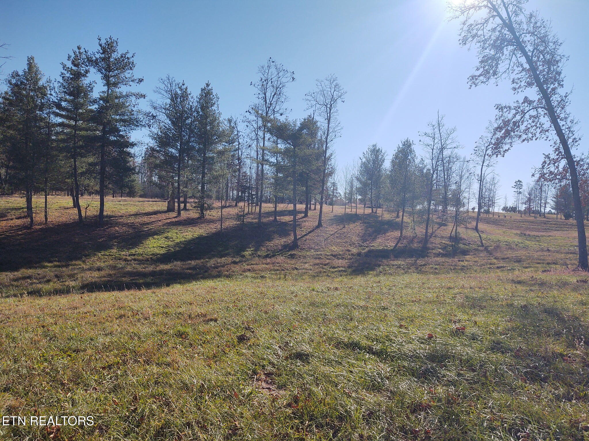 1241 Twin Bridge Road Deer Lodge, TN 37726 - Photo 19 of 35 NRAW3597