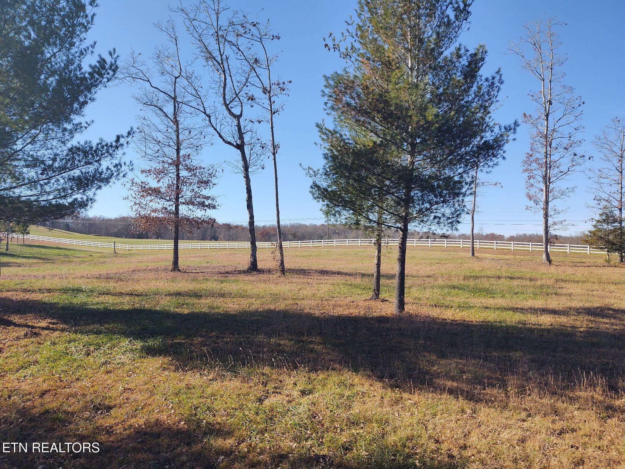 1241 Twin Bridge Road Deer Lodge, TN 37726 - Photo 29 of 35 TJFN0735