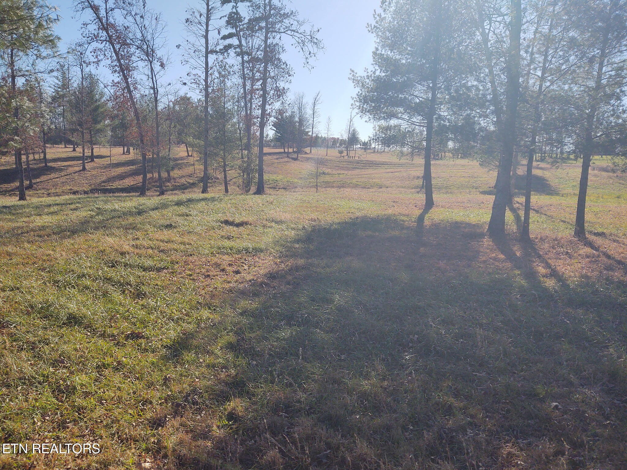 1241 Twin Bridge Road Deer Lodge, TN 37726 - Photo 34 of 35 WCZF2643