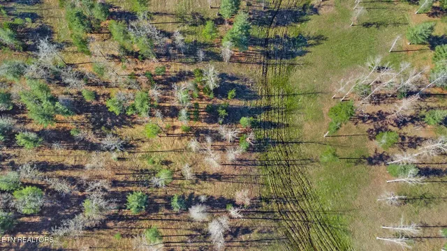 $189,900 | 1241 Twin Bridge Road, Deer Lodge, TN 37726