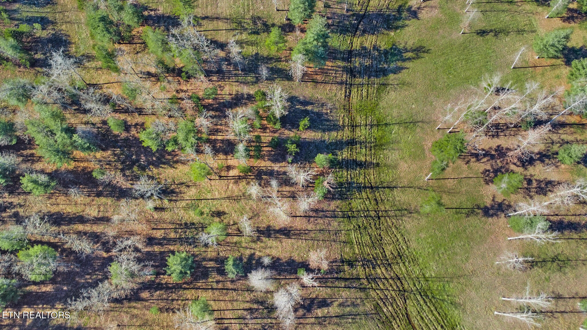 1241 Twin Bridge Road Deer Lodge, TN 37726 - Photo 5 of 35 dji_0127-dji_0129