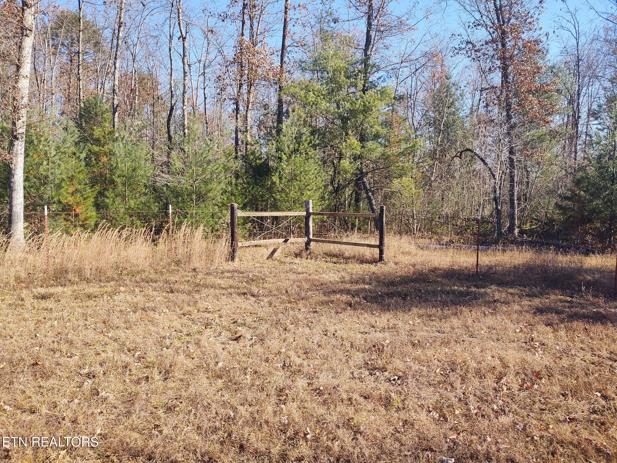 1241 Twin Bridge Road Deer Lodge, TN 37726 - Photo 9 of 35 JANO5501