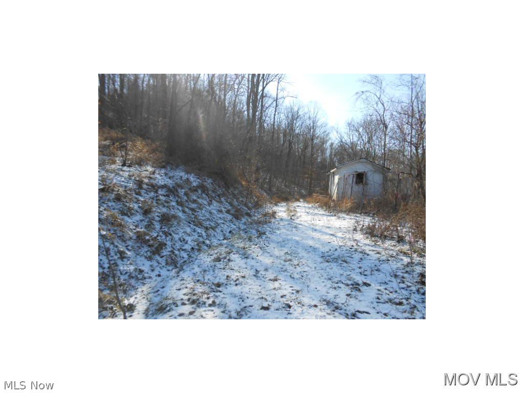 1729 Pioneer Community Road St. Marys, WV 26170 - Photo 4 of 9 Privacy!!!