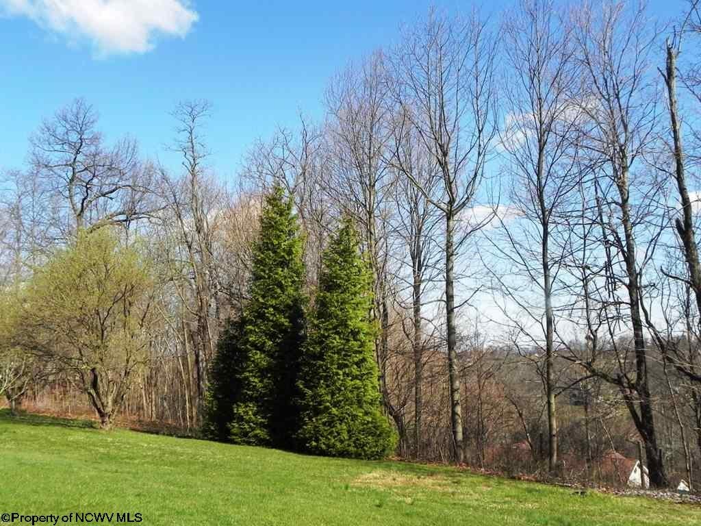 1334 Goshen Road Morgantown, WV 26508 - Photo 19 of 20 Gallery Image 19