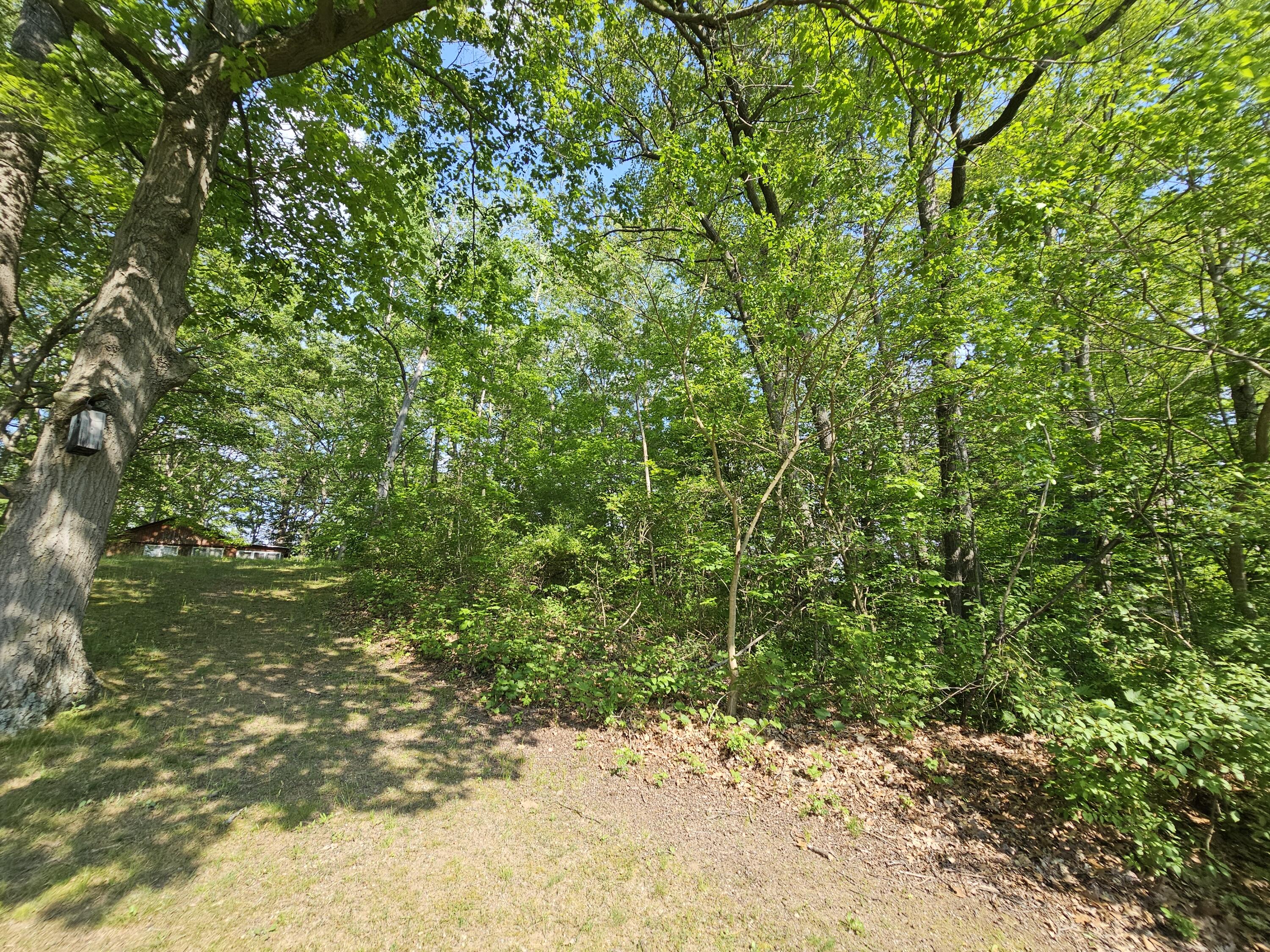 5350 Eze Street Reading, MI 49274 - Photo 14 of 36 1000039239