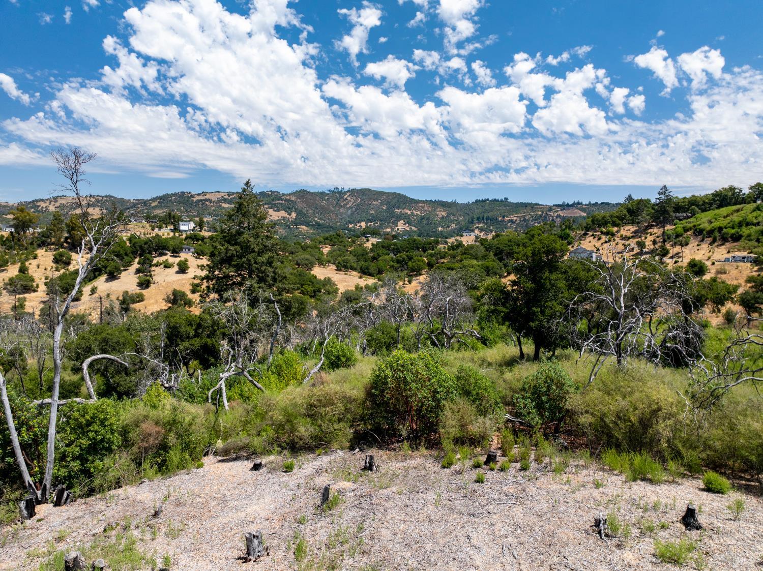 3926 Silver Fox Court Santa Rosa, CA 95403 - Photo 14 of 16 a view of a big yard with lots of green space