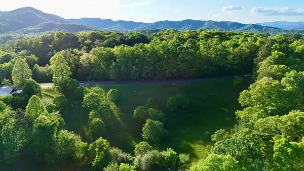 a view of a lush green field with a mountain in the background