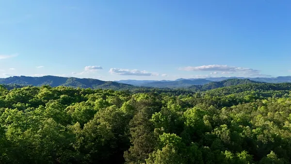 a view of a lush green field with mountains in the background