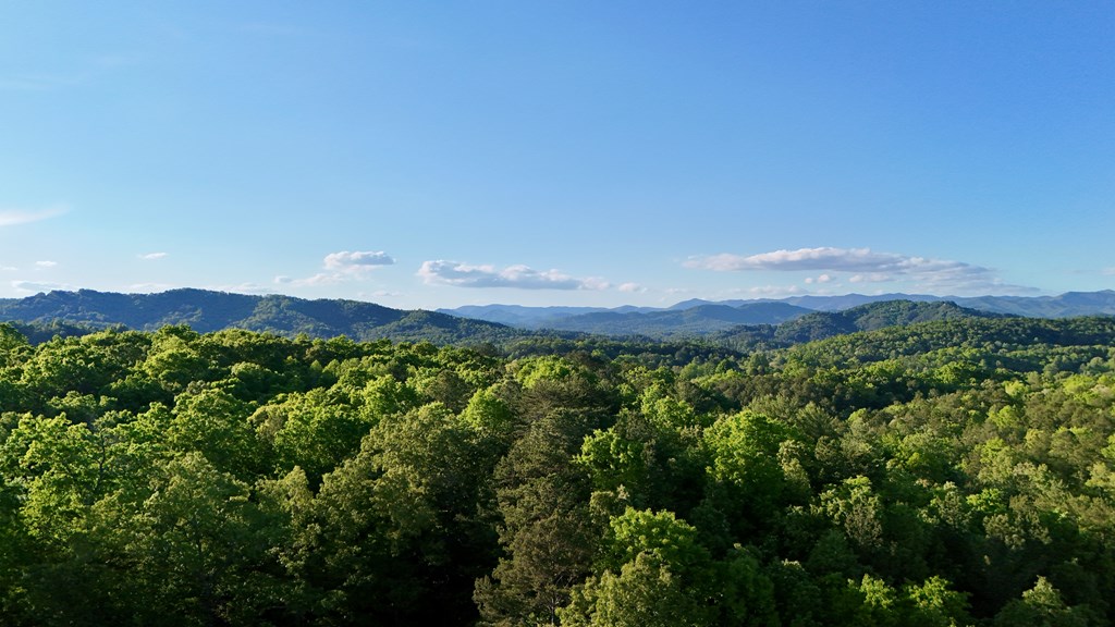 Lot 8 Red Silo Murphy, NC 28906 - Photo 16 of 28