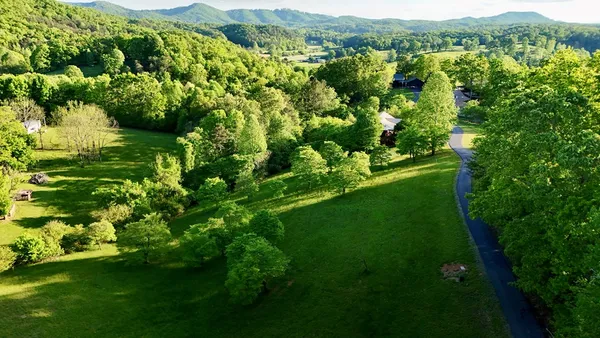 a view of a lush green forest with lots of trees