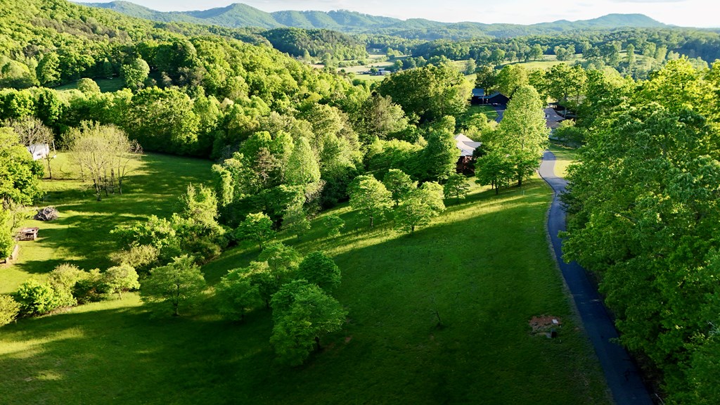 Lot 8 Red Silo Murphy, NC 28906 - Photo 18 of 28