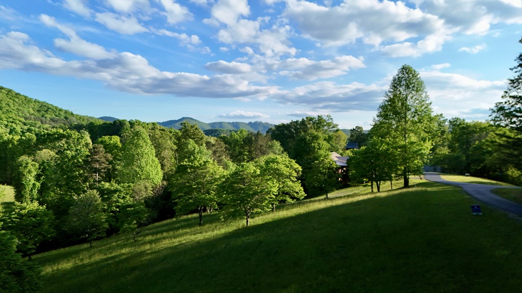 Lot 8 Red Silo Murphy, NC 28906 - Photo 2 of 28