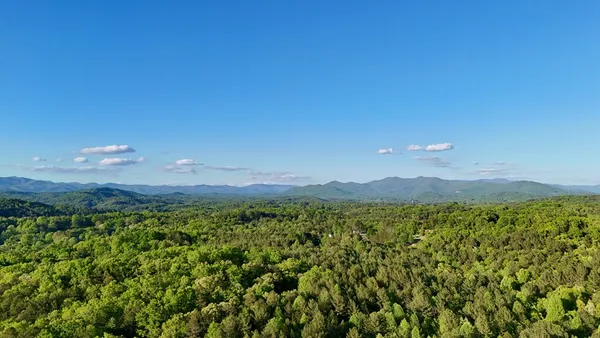 a green field with lots of trees