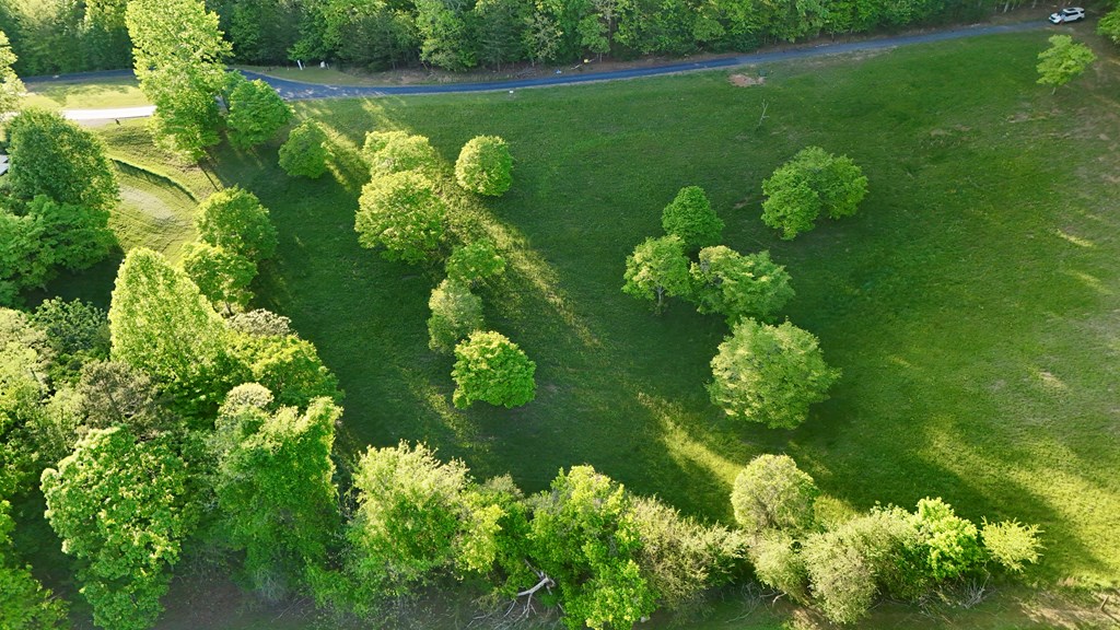 Lot 8 Red Silo Murphy, NC 28906 - Photo 25 of 28