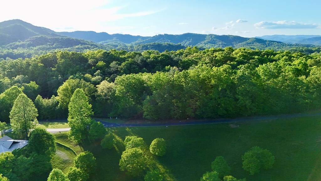 Lot 8 Red Silo Murphy, NC 28906 - Photo 27 of 28