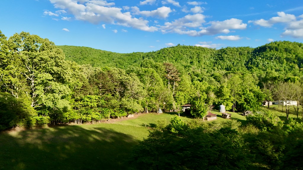 Lot 8 Red Silo Murphy, NC 28906 - Photo 4 of 28