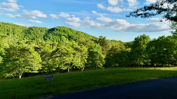 a view of a big yard