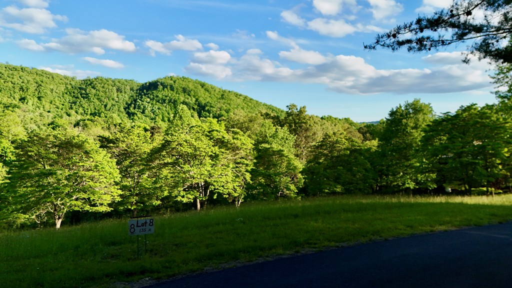 Lot 8 Red Silo Murphy, NC 28906 - Photo 6 of 28