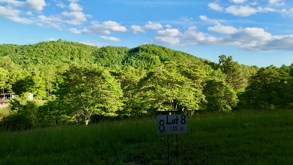 Lot 8 Red Silo Murphy, NC 28906 - Photo 7 of 28