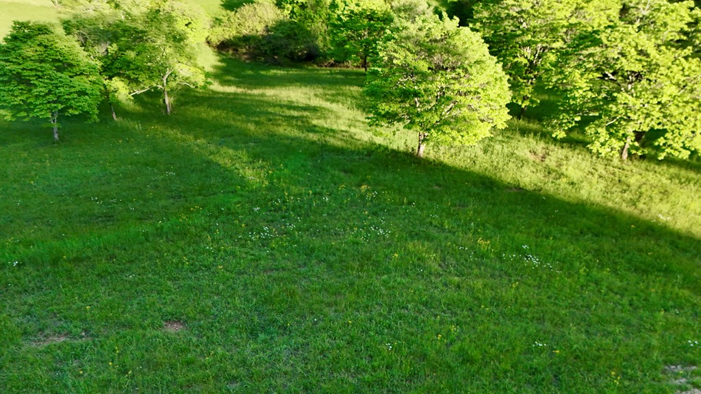 Lot 8 Red Silo Murphy, NC 28906 - Photo 8 of 28