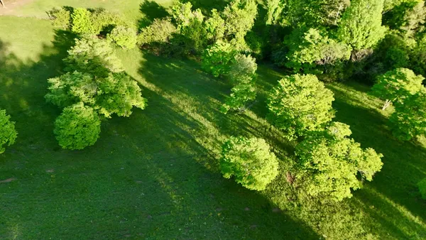 a backyard of a house with lots of green space