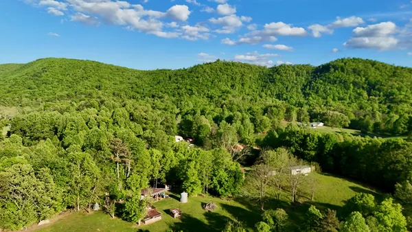 a view of a green field with lots of bushes