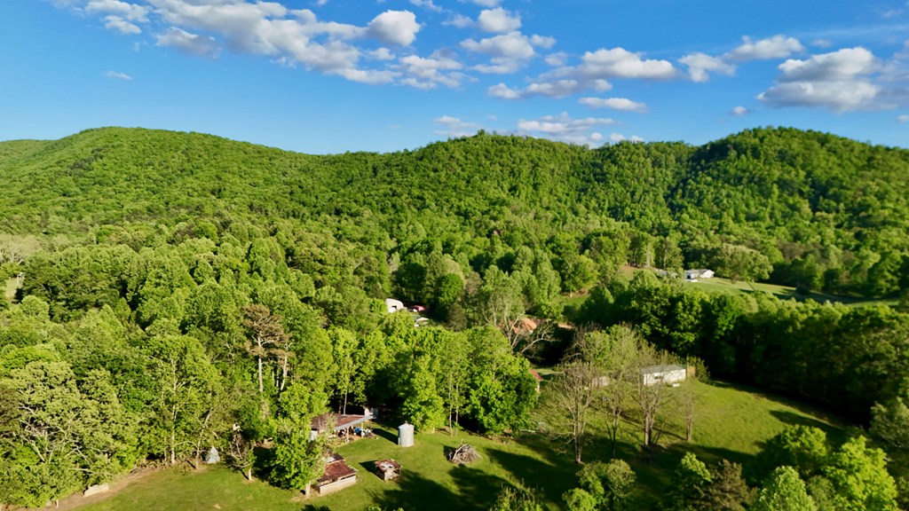 Lot 8 Red Silo Murphy, NC 28906 - Photo 10 of 28