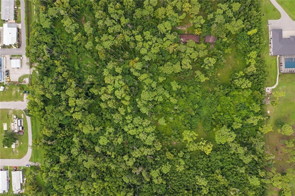 771 St Clair Shores Road Naples, FL 34104 - Photo 1 of 3 a view of a house with a tree
